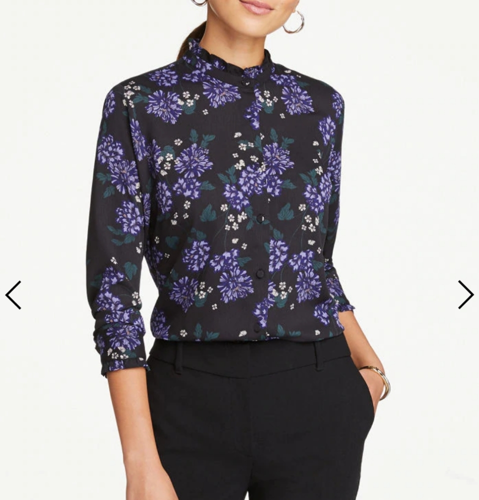 Ann Taylor Blouse